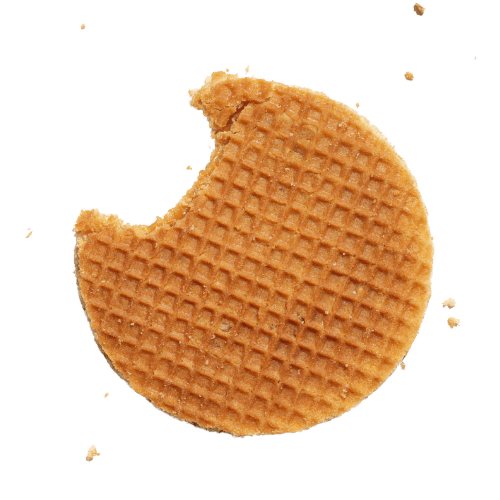 Dutch Vibes